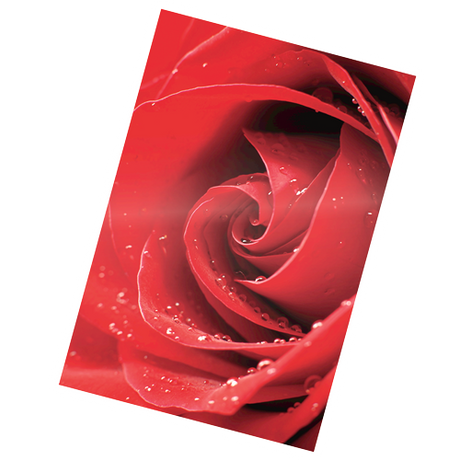 Fellowes Glossy Pouches - Picture, 3 mil, Pack of 25