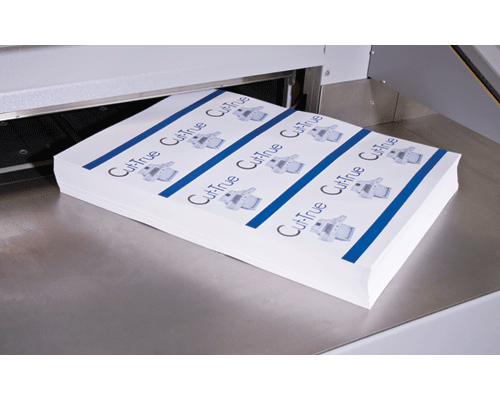 Formax Cut-True 31A Electric Guillotine Cutter